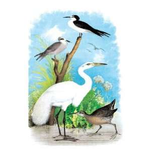   The Great White Egret (White Heron) 20x30 poster