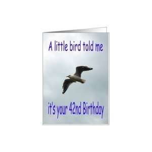  Happy 42nd Birthday Flying Seagull bird Card Toys & Games
