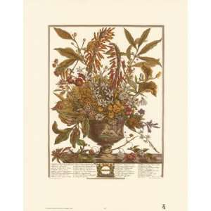   Robert Furber   Twelve Months of Flowers 1730/January