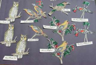 10 Iron on Bird appliques   with fusible, cotton fabric cut out  