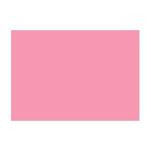  Erengi Art Aspirer Oil Pastel   Box of 12   Rose Pink 