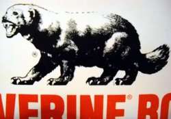 VINTGE WOLVERINE BOOTS STORE SIGN WITH WOLVERINE ART * $35.00  