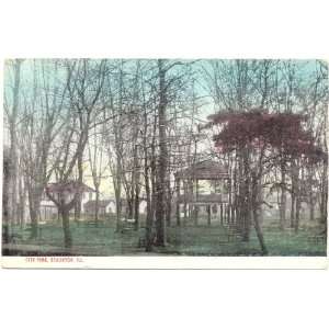   1909 Vintage Postcard   City Park   Staunton Illinois 