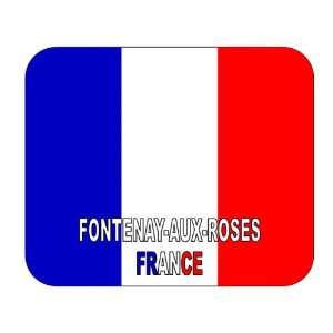  France, Fontenay aux Roses mouse pad 