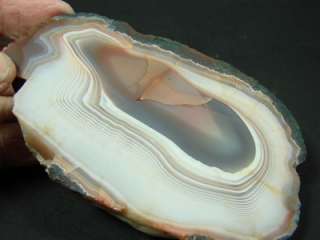   Superior Agate, Large End Cut, Good White Banding & Dark Center, MBS