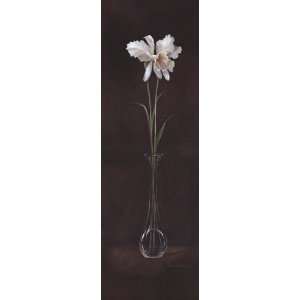  Beauty of Orchids I by Ruane Manning 12x36 Kitchen 