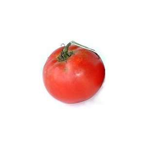  Bonny Best Tomaato Seed Patio, Lawn & Garden