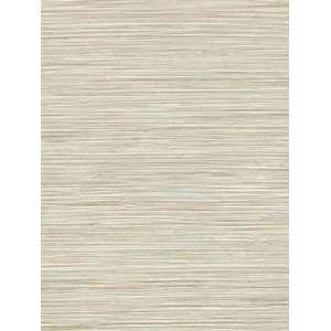    Wallpaper Patton Wallcovering Focal Point 7993174