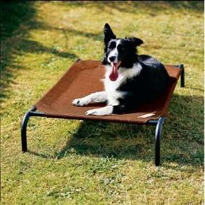  Elevated Steel Pet Beds by Coolaroo