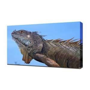  Lizard   Canvas Art   Framed Size 40x60   Ready To Hang 