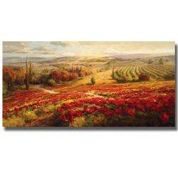 Roberto Lombardi Red Poppy Panorama Canvas Art  