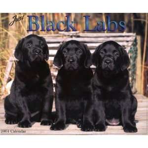  Just Black Labs (9781572236028) Willow Creek Press Books