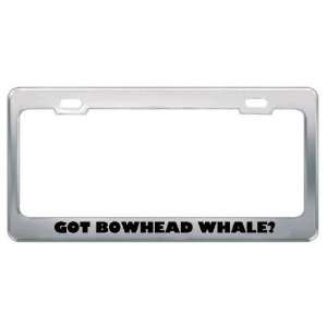  Got Bowhead Whale? Animals Pets Metal License Plate Frame 