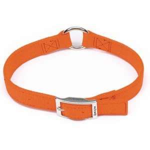  RemIn.gton Double Ply Nylon Safety Dog Collar 22 In 