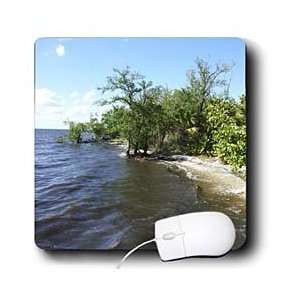   Wqter Landscape   Florida Mangrove Shoreline   Mouse Pads Electronics
