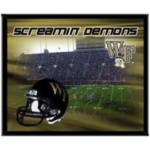 Wake Forest Demon Deacons WFU NCAA Basketball 8 X 10 Framed Logo 