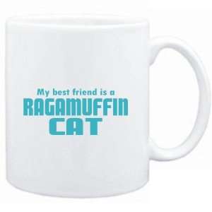   MY BEST FRIEND IS a Ragamuffin  Cats 