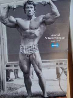 IRONMAN bodybuilding muscle fitness magazine/ARNOLD SCHWARZENEGGER 2 