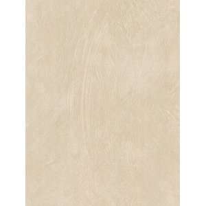 Textured Swirl Beige Wallpaper by Thomas Kinkade in Inspired Home 
