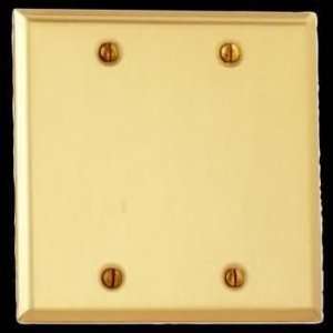   Brass Solid Brass, Beveled Double Blank wall plate