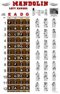 LEFT HANDED Mandolin Chord Fretboard Chart Poster  