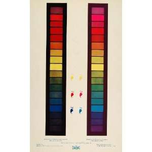 1901 Print Color Chart Spectrum Pigments Inks UNUSUAL   Original Print