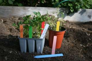 100 NEW COLOR 5 Plastic Pot Plant Stakes Labels  