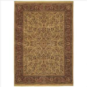  Shaw Rug Renaissance Collection Regency Pattern 3 6 X 5 