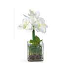 NearlyNatural Amaryllis Silk Flower Arrangement w/Glass Vase White