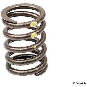 BMW 533i/535i/630CSi/633CSi/635CSi/733i/735i/Bavaria/L6 Valve Spring 