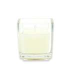 Zest Candle Ivory Square Glass Votive Candles (12pc/Box)