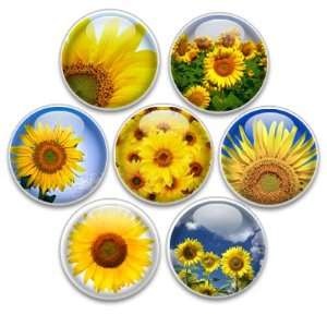   Decorative Push Pins or Magnets 7 Small Sunflowers