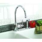 Premier Faucet Quincy Wellington Single Handle Kitchen Faucet with 