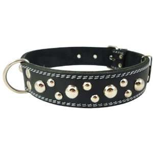 Genuine 1.6 Wide Double Ply Leather Studded Dog Collar Black. Fits 19 