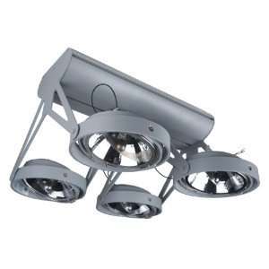  Eurofase Lighting 14700 019 Jive, 4 Light Flushmount Ar111 