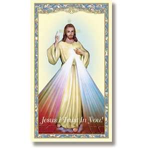  Divine Mercy Chaplet Holy Prayer Card New Design Laminated 