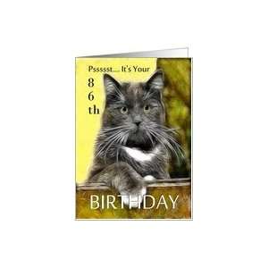    Birthday ~ Age Specific 86th ~ Cat in a box Card Toys & Games