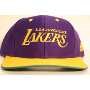  Los Angeles Lakers Purple/gold Two Tone Snapback 