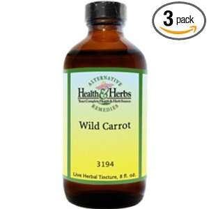 Alternative Health & Herbs Remedies Wild Carrot, Daucus 