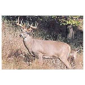 Delta #401 Deer Target 