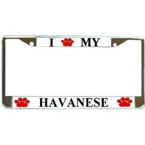  I Love My Havanese Paw Prints Dog Chrome Metal License 