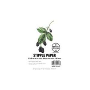  Coquille Paper Fine Stipple 22x30 130lb Arts, Crafts 