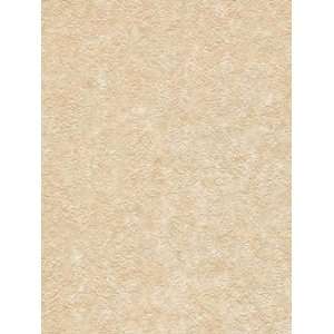    Wallpaper Patton Wallcovering Focal Point 7993155
