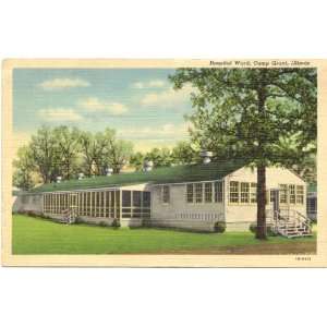   Postcard   Hospital Ward   Camp Grant Illinois 