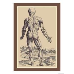 Ninth Plate of the Muscles by Andreas Vesalius 12x18  