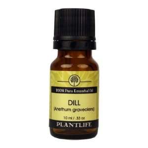   Essential Oil (100% Pure and Natural, Therapeutic Grade) 10 ml Beauty