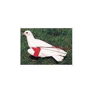  Pigeon or Chukar Wing Strap with Cord, Prevents Flying 