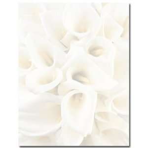  (Price/Pack)Masterpiece Studios 972435 White Calla Lilies 