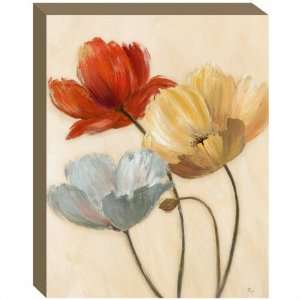  Poppy Palette Set of 2 Wall Canvas
