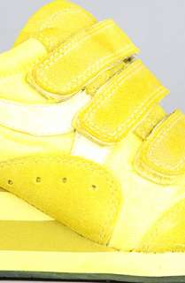 Ash Shoes The Alfa Sneaker in Yellow  Karmaloop   Global Concrete 